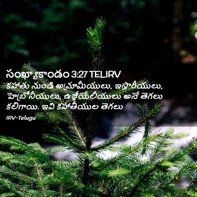 Picture 02 - సంఖ్యాకాండం 3:27 TELIRV - కహాతు నుండి - Bible Verse Picture
