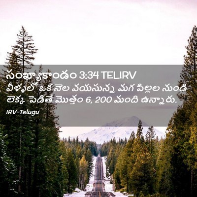 Picture 02 - సంఖ్యాకాండం 3:34 TELIRV - వీళ్ళలో ఒక నెల - Bible Verse Picture