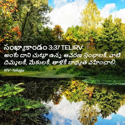 Picture 02 - సంఖ్యాకాండం 3:37 TELIRV - అంటే దాని చుట్టూ - Bible Verse Picture