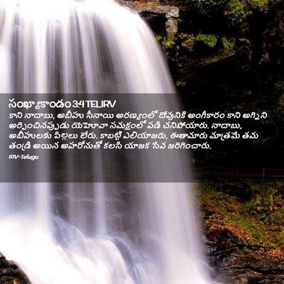Picture 02 - సంఖ్యాకాండం 3:4 TELIRV - కాని నాదాబు, అబీహు - Bible Verse Picture