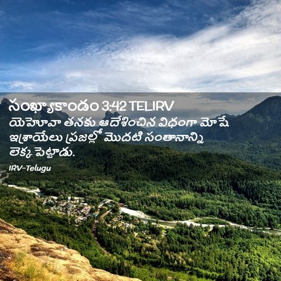 Picture 02 - సంఖ్యాకాండం 3:42 TELIRV - యెహోవా తనకు - Bible Verse Picture