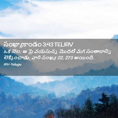 Picture 02 - సంఖ్యాకాండం 3:43 TELIRV - ఒక నెల, ఆ పై - Bible Verse Picture