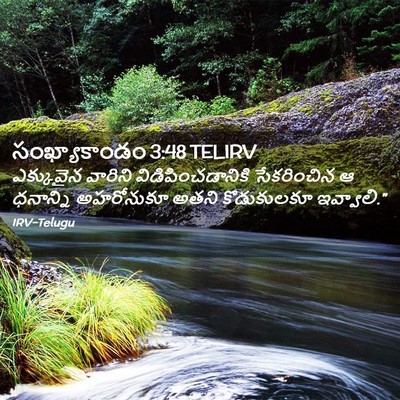 Picture 02 - సంఖ్యాకాండం 3:48 TELIRV - ఎక్కువైన వారిని - Bible Verse Picture