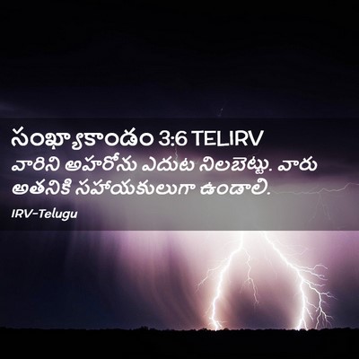 Picture 02 - సంఖ్యాకాండం 3:6 TELIRV - వారిని అహరోను - Bible Verse Picture