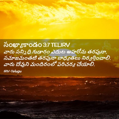 Picture 02 - సంఖ్యాకాండం 3:7 TELIRV - వారు సన్నిధి - Bible Verse Picture
