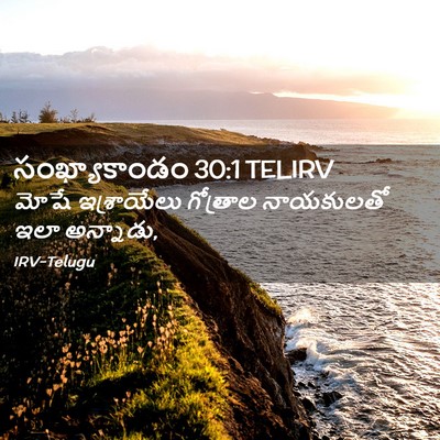 Picture 02 - సంఖ్యాకాండం 30:1 TELIRV - మోషే ఇశ్రాయేలు - Bible Verse Picture