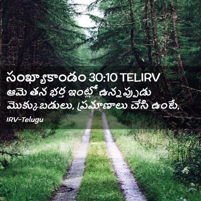 Picture 02 - సంఖ్యాకాండం 30:10 TELIRV - ఆమె తన భర్త ఇంట్లో - Bible Verse Picture