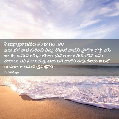 Picture 02 - సంఖ్యాకాండం 30:12 TELIRV - ఆమె భర్త వాటి - Bible Verse Picture
