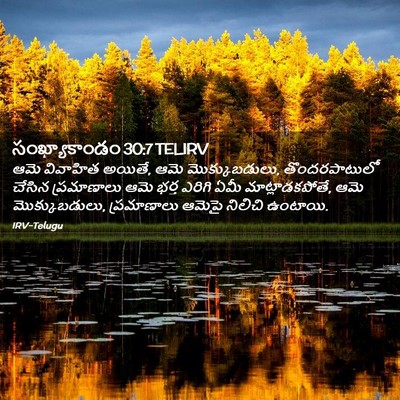 Picture 02 - సంఖ్యాకాండం 30:7 TELIRV - ఆమె వివాహిత అయితే, - Bible Verse Picture