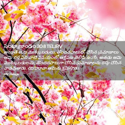 Picture 02 - సంఖ్యాకాండం 30:8 TELIRV - అయితే ఆమె - Bible Verse Picture