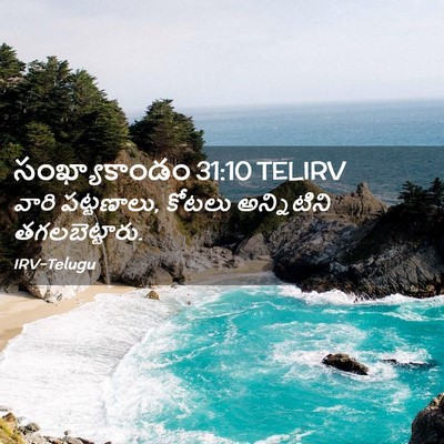 Picture 02 - సంఖ్యాకాండం 31:10 TELIRV - వారి పట్టణాలు, - Bible Verse Picture