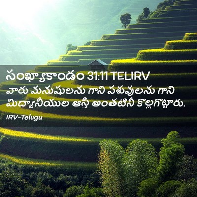 Picture 02 - సంఖ్యాకాండం 31:11 TELIRV - వారు మనుషులను - Bible Verse Picture