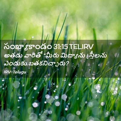 Picture 02 - సంఖ్యాకాండం 31:15 TELIRV - అతడు వారితో “మీరు - Bible Verse Picture