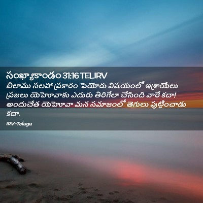 Picture 02 - సంఖ్యాకాండం 31:16 TELIRV - బిలాము సలహా - Bible Verse Picture