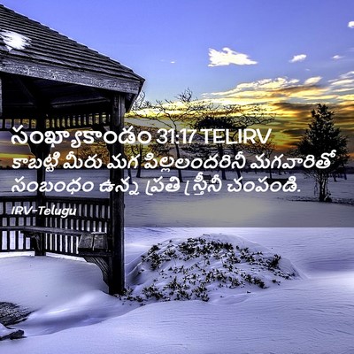 Picture 02 - సంఖ్యాకాండం 31:17 TELIRV - కాబట్టి మీరు మగ - Bible Verse Picture