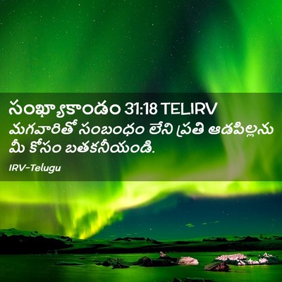 Picture 02 - సంఖ్యాకాండం 31:18 TELIRV - మగవారితో సంబంధం - Bible Verse Picture
