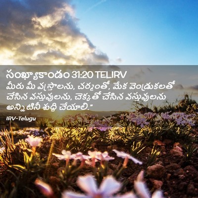 Picture 02 - సంఖ్యాకాండం 31:20 TELIRV - మీరు మీ - Bible Verse Picture