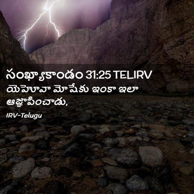 Picture 02 - సంఖ్యాకాండం 31:25 TELIRV - యెహోవా మోషేకు - Bible Verse Picture
