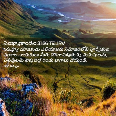 Picture 02 - సంఖ్యాకాండం 31:26 TELIRV - “నువ్వూ యాజకుడు - Bible Verse Picture