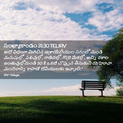 Picture 02 - సంఖ్యాకాండం 31:30 TELIRV - అదే విధంగా - Bible Verse Picture