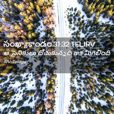 Picture 02 - సంఖ్యాకాండం 31:32 TELIRV - ఆ సైనికులు - Bible Verse Picture
