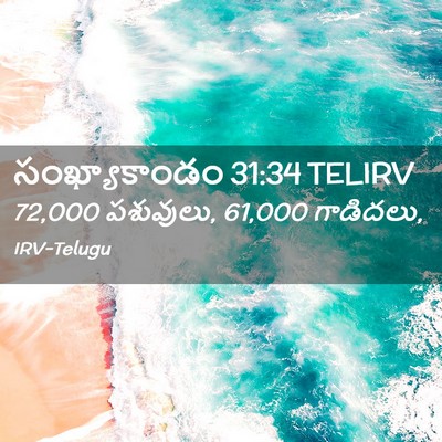 Picture 02 - సంఖ్యాకాండం 31:34 TELIRV - 72,000 పశువులు, 61,000 - Bible Verse Picture