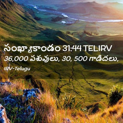 Picture 02 - సంఖ్యాకాండం 31:44 TELIRV - 36,000 పశువులు, 30, 500 - Bible Verse Picture