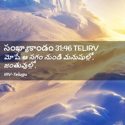 Picture 02 - సంఖ్యాకాండం 31:46 TELIRV - మోషే ఆ సగం నుండి - Bible Verse Picture