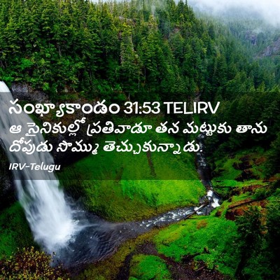Picture 02 - సంఖ్యాకాండం 31:53 TELIRV - ఆ సైనికుల్లో - Bible Verse Picture
