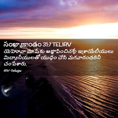 Picture 02 - సంఖ్యాకాండం 31:7 TELIRV - యెహోవా మోషేకు - Bible Verse Picture
