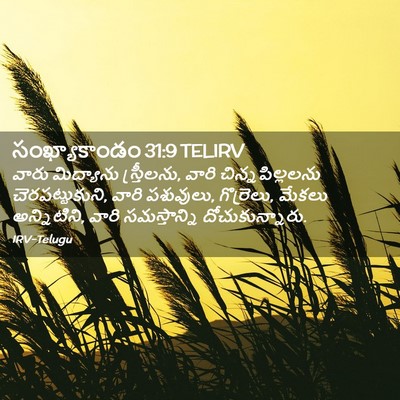 Picture 02 - సంఖ్యాకాండం 31:9 TELIRV - వారు మిద్యాను - Bible Verse Picture