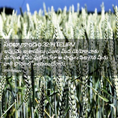 Picture 02 - సంఖ్యాకాండం 32:14 TELIRV - ఇప్పుడు ఇశ్రాయేలు - Bible Verse Picture