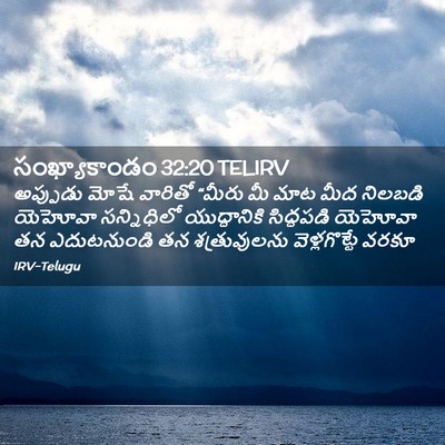 Picture 02 - సంఖ్యాకాండం 32:20 TELIRV - అప్పుడు మోషే - Bible Verse Picture