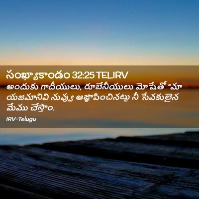 Picture 02 - సంఖ్యాకాండం 32:25 TELIRV - అందుకు గాదీయులు, - Bible Verse Picture