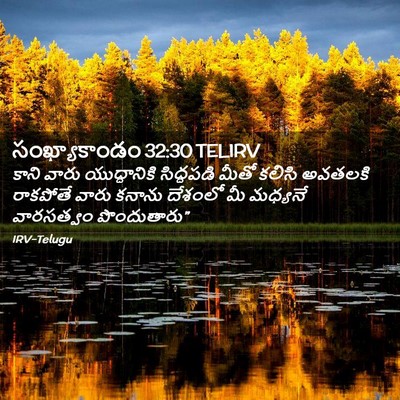 Picture 02 - సంఖ్యాకాండం 32:30 TELIRV - కాని వారు - Bible Verse Picture