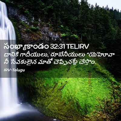 Picture 02 - సంఖ్యాకాండం 32:31 TELIRV - దానికి గాదీయులు, - Bible Verse Picture