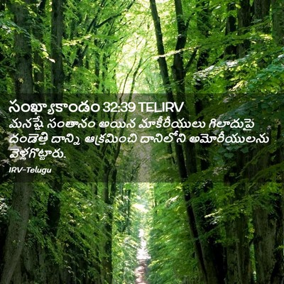 Picture 02 - సంఖ్యాకాండం 32:39 TELIRV - మనష్షే సంతానం - Bible Verse Picture