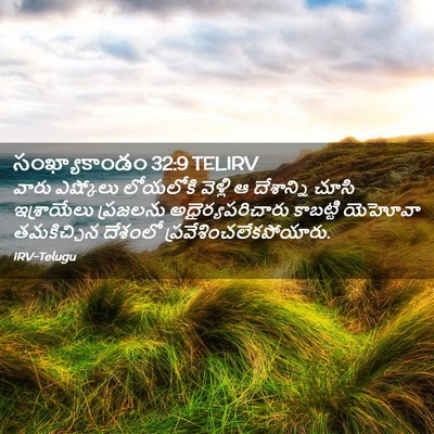 Picture 02 - సంఖ్యాకాండం 32:9 TELIRV - వారు ఎష్కోలు - Bible Verse Picture