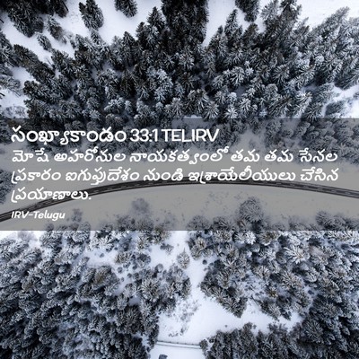 Picture 02 - సంఖ్యాకాండం 33:1 TELIRV - మోషే అహరోనుల - Bible Verse Picture