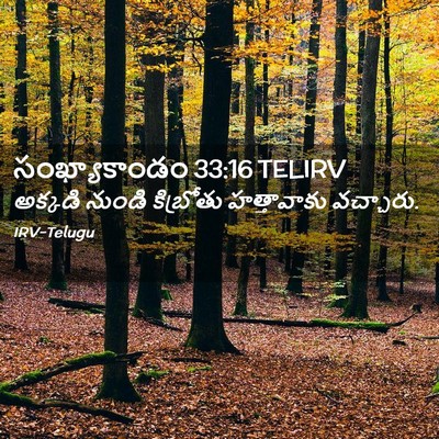 Picture 02 - సంఖ్యాకాండం 33:16 TELIRV - అక్కడి నుండి - Bible Verse Picture