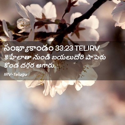 Picture 02 - సంఖ్యాకాండం 33:23 TELIRV - కెహేలాతా నుండి - Bible Verse Picture