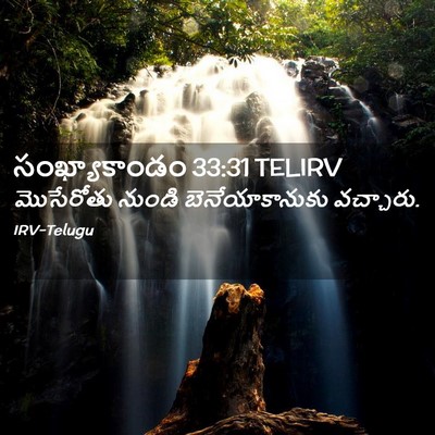 Picture 02 - సంఖ్యాకాండం 33:31 TELIRV - మొసేరోతు నుండి - Bible Verse Picture