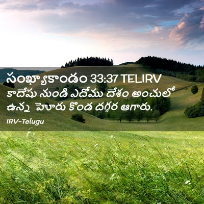Picture 02 - సంఖ్యాకాండం 33:37 TELIRV - కాదేషు నుండి - Bible Verse Picture