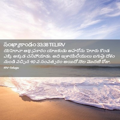 Picture 02 - సంఖ్యాకాండం 33:38 TELIRV - యెహోవా ఆజ్ఞ - Bible Verse Picture
