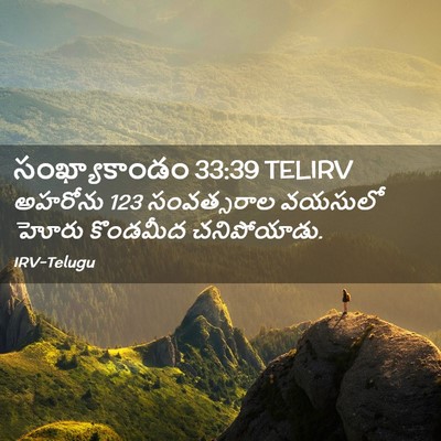 Picture 02 - సంఖ్యాకాండం 33:39 TELIRV - అహరోను 123 - Bible Verse Picture