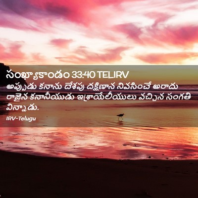Picture 02 - సంఖ్యాకాండం 33:40 TELIRV - అప్పుడు కనాను - Bible Verse Picture