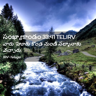 Picture 02 - సంఖ్యాకాండం 33:41 TELIRV - వారు హోరు కొండ - Bible Verse Picture
