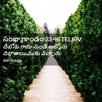 Picture 02 - సంఖ్యాకాండం 33:46 TELIRV - దీబోను గాదు నుండి - Bible Verse Picture