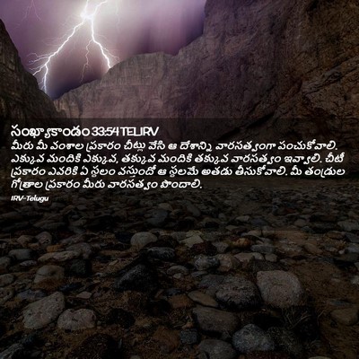 Picture 02 - సంఖ్యాకాండం 33:54 TELIRV - మీరు మీ వంశాల - Bible Verse Picture