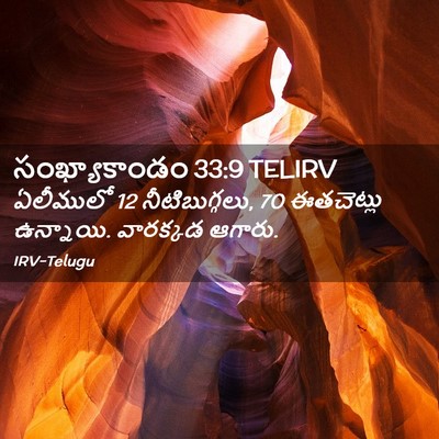 Picture 02 - సంఖ్యాకాండం 33:9 TELIRV - ఏలీములో 12 - Bible Verse Picture